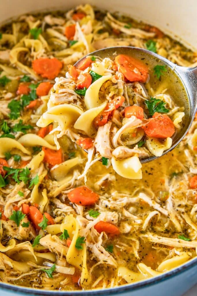Best Chicken Noodle Soup with Egg Noodles