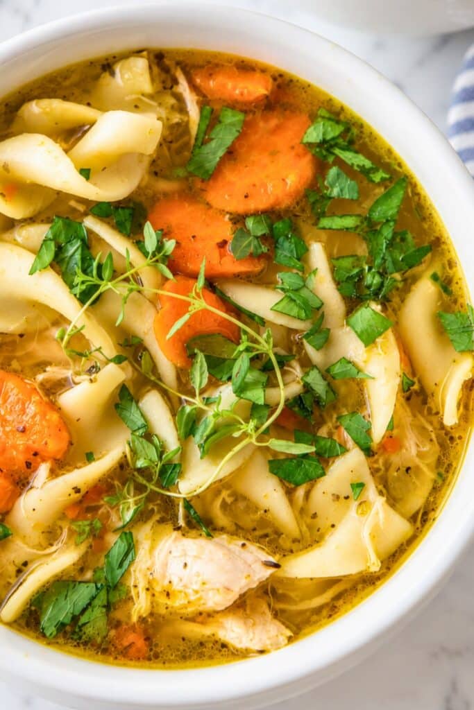 Best Chicken Noodle Soup with Egg Noodles