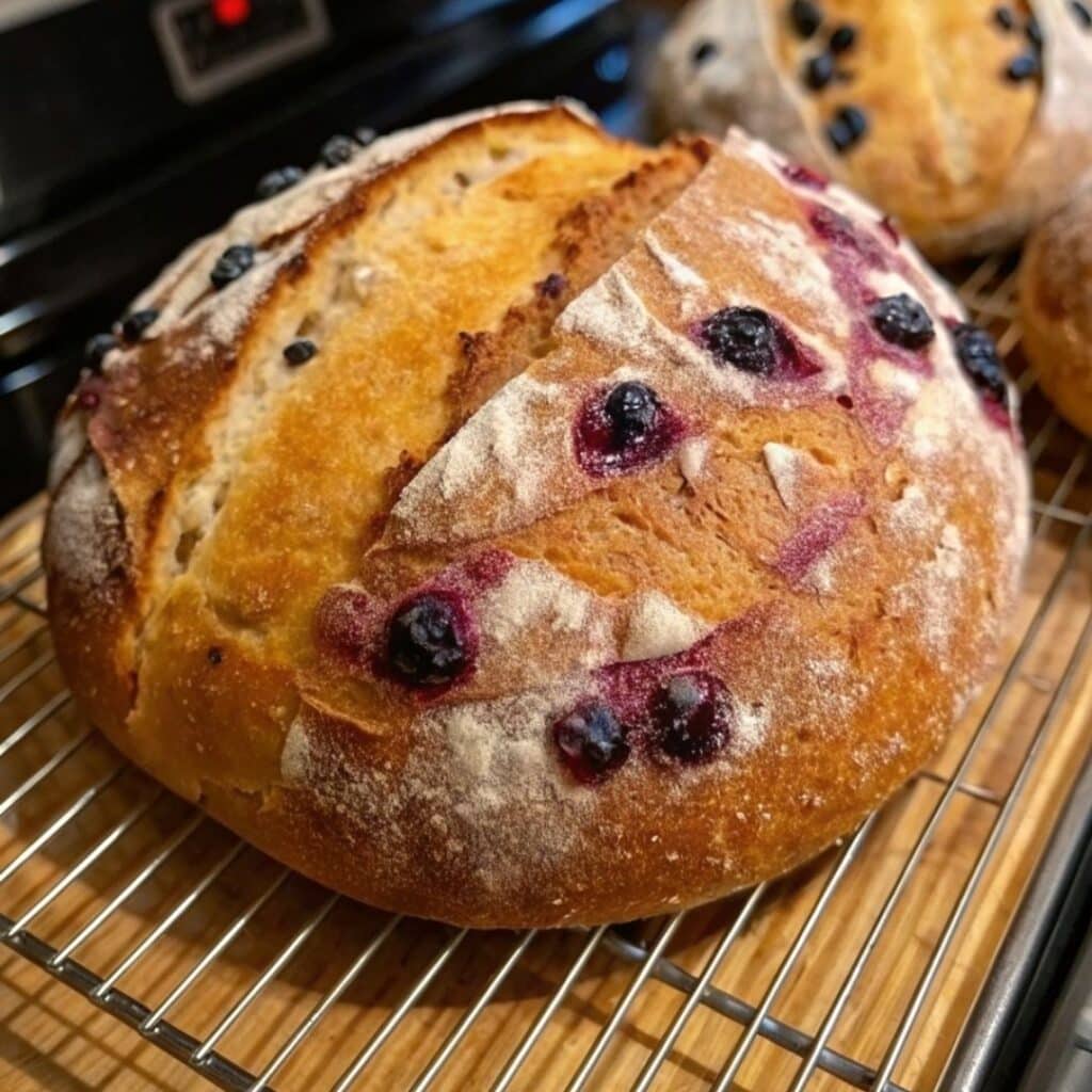 Untitled design 2026 01 19T181718.771