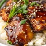 Slow Cooker Honey Garlic Chicken