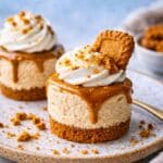 No Bake Biscoff Cheesecakes – Easy Creamy Lotus Biscoff Dessert