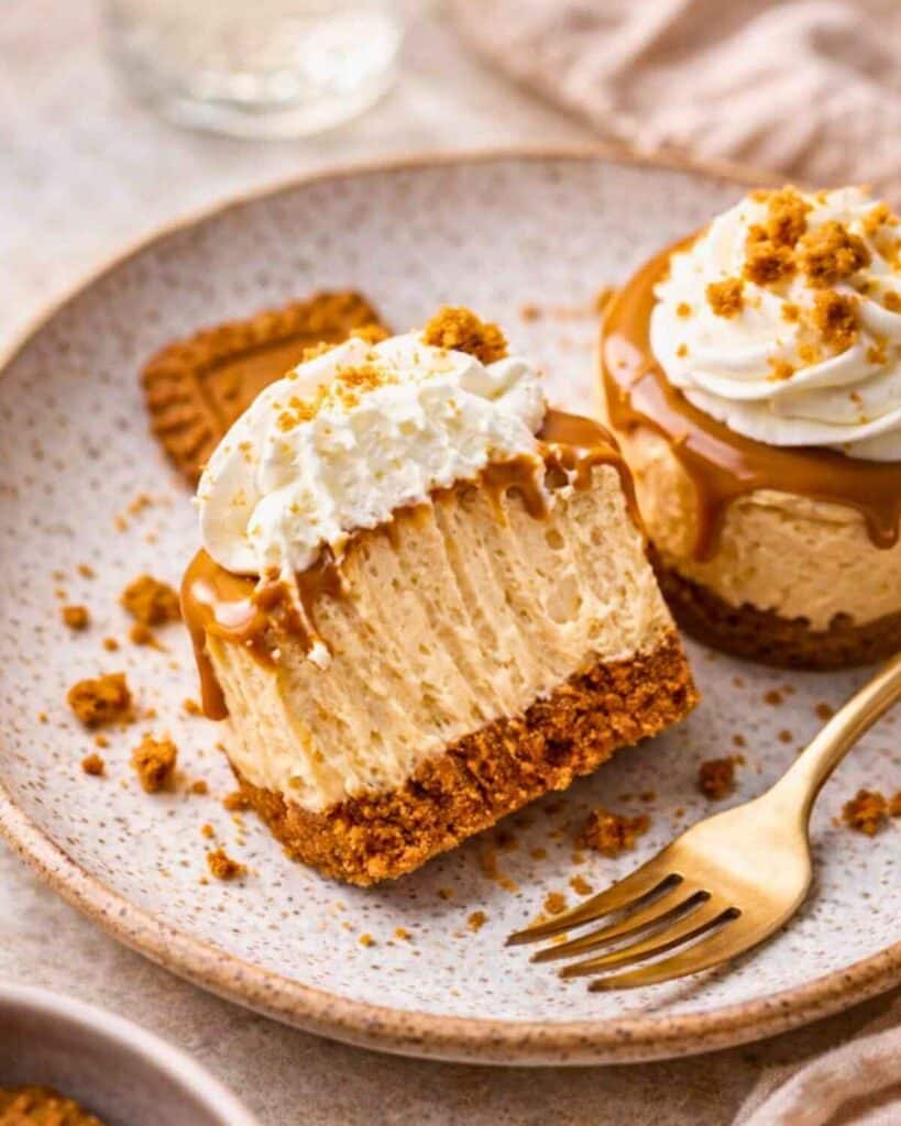 no bake mini biscoff cheesecake